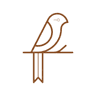 Décoration en Bois